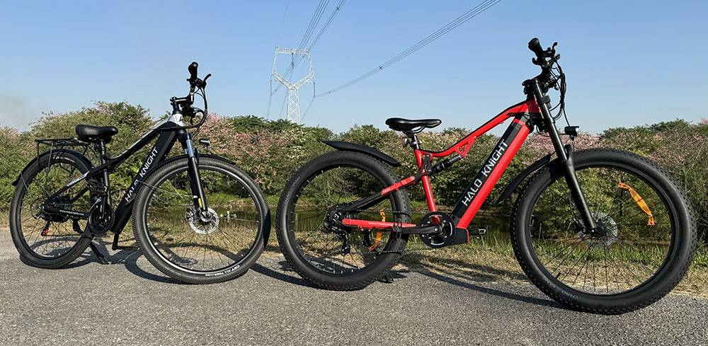 Halo Knight H02 Electric Bike, 750W Brushless Motor, 48V 16Ah Battery, 29*2.1-inch Tires, 50km/h Max Speed, 60km Max Range, Shimano 21 Speed, Mechanical Disc Brake - Black