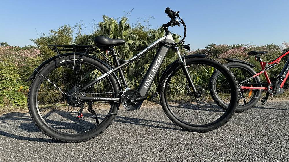 Halo Knight H02 Electric Bike, 750W Brushless Motor, 48V 16Ah Battery, 29*2.1-inch Tires, 50km/h Max Speed, 60km Max Range, Shimano 21 Speed, Mechanical Disc Brake - Black