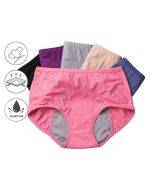 New Upgrade High Waist Leak Proof Panties