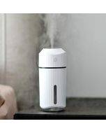 Lecai LED large capacity 320ml humidifier sprayer battery model