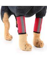 Pet Knee Protector Dog Surgery Injury Protective Cover, (Red Reflection)