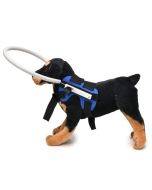Dog Blindness Anti-Collision Ring Animal Protection Ring Cover Guide Ring, Specification: M(Blue)