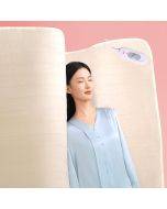 xiaomi youpin Rainbow full circuit protection temperature regulating electric blanket