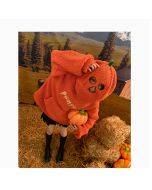 Halloween Pumpkin Sweater Lambswool Autumn and Winter Sweater