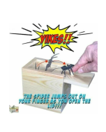 Spider Box Prank