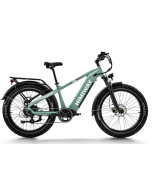 Himiway ZEBRA STEP-THRU