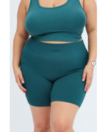 Blue Bike Shorts Seamless Activewear