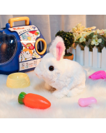 Bunny Toys Educational Interactive Toys Bunnies Can Walk and Talk