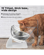 15°Tilted Double Elevated Cat Bowls with Raised Stand