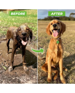 The Original Pup Jet