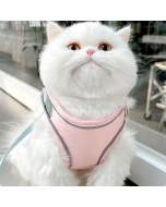 Luminous Cat Vest Harness and Leash Set