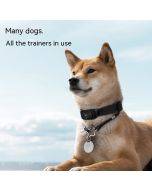 Dog Pet Collar Stop Barker Anti Barking Electric Shock Collar Stop Barker Waterproof Remote Control Dog Trainer