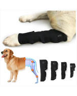 DogLemi PD60041 Dog leg Guard Pet arthritis fixation Recovery strap Wrap leg brace protective sleeve