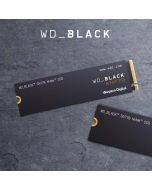WD Western Digital Black Disk SN770 Wholesale SSD PCLE4.0 M.2 Interface NVME for Gaming PC