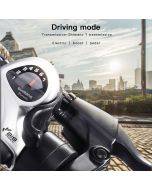 BEZIOR XF001 1000W 48V 12.5AH retro electric bicycle with LCD digital display & 20-inch tires, European regulations (military green)