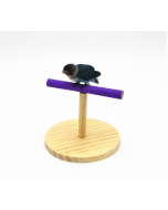 Creative wooden parrot bird frosted standing toy