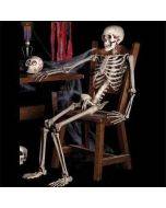 Halloween Prop Skeleton Full Size