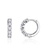 Platinum plated zircon sterling silver jewelry earrings and earrings