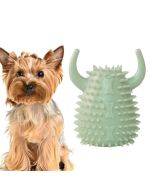 Pet teeth grinding dog chewing toy fish bone fun leakage toy TPR pet toy