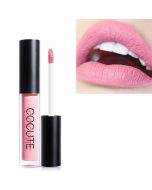 Matte Waterproof Makeup Lip Gloss Liquid Lipstick Long Lasting Lip Gloss (5)
