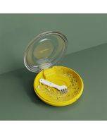 Household denture and braces box, orthodontic appliance storage box