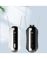 Portable negative ion air purifier, household hanging neck purifier, specifications: chain style